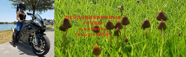 MDMA Зерноград