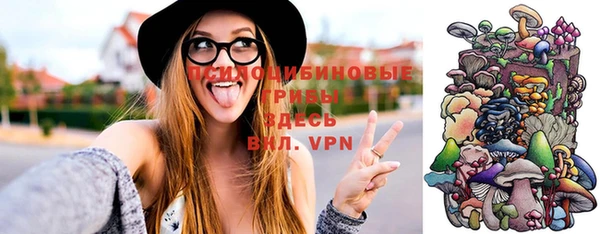 a pvp Зеленокумск