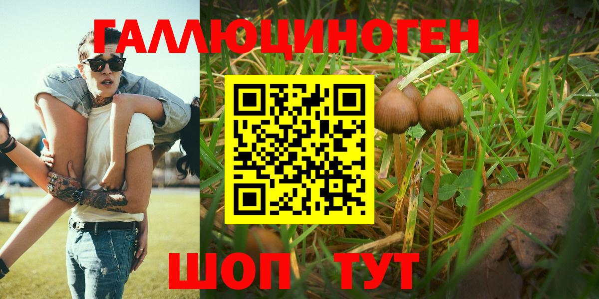 Псилоцибиновые грибы Magic Shrooms Калининград