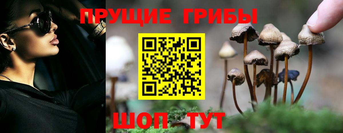 Галлюциногенные грибы Psilocybe  Вход с VPN  Калининград 